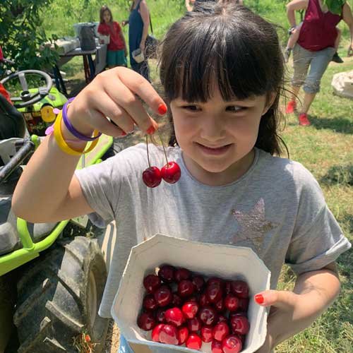 Family Farm Tour & Cherry Picking